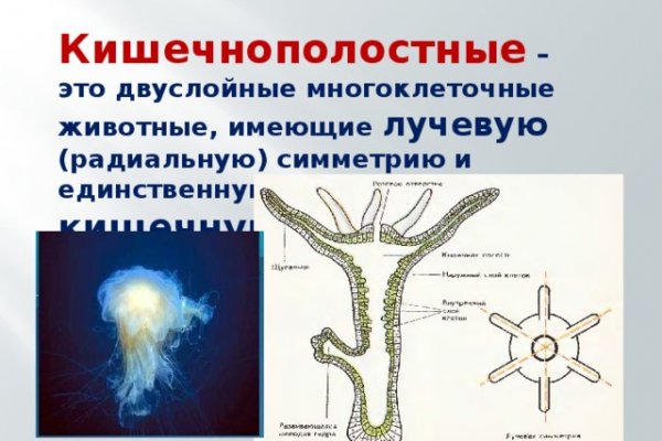 Кракен даркнет kraken link24 info