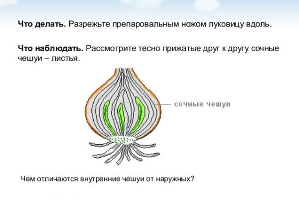 Актуальные ссылки кракен на 2025