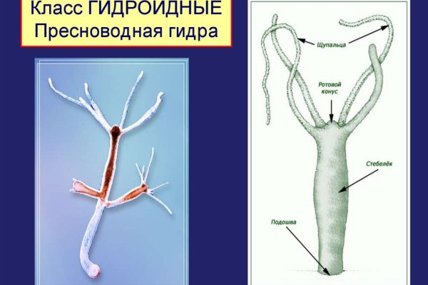 Как войти на кракен